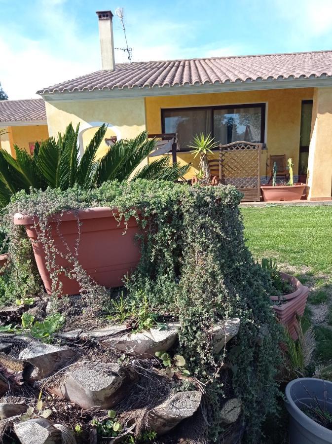 La Luce Del Sinis Villa Riola Sardo Ngoại thất bức ảnh